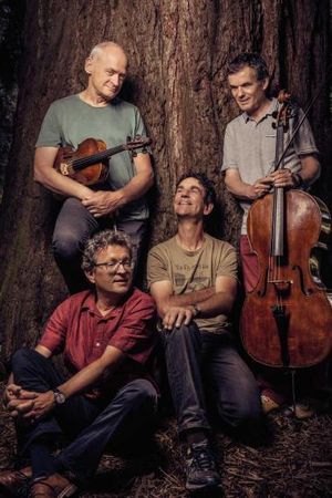 Portrait du Quatuor Sine Nomine